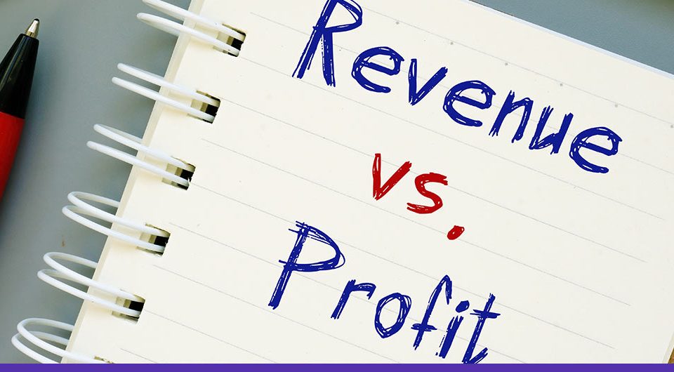 difference between revenue and profit