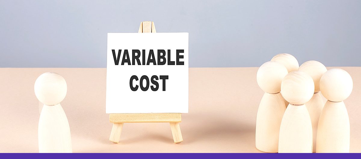 What is a Variable Cost